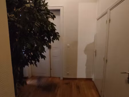 local d'activité - toulouse centre - 95m²