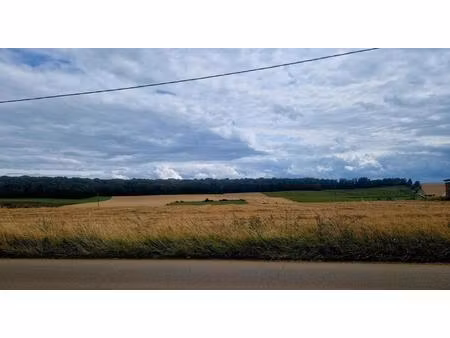 terrain de 11 ares  libre de constructeur !