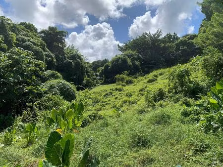 parcelle de 2664 m2 dans la commune de ducos