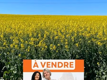 terrain constructible