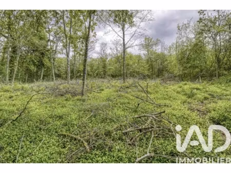 terrain à bâtir à estouy (45300)