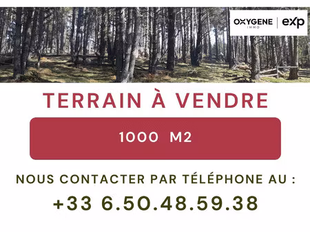 terrain formiguères