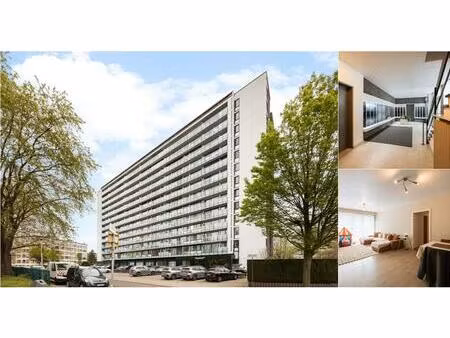 appartement à vendre à lambrechtshoekenlaan 209 merksem (rbv73482)