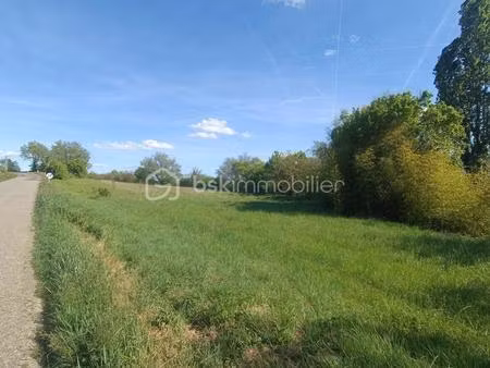 terrain constructible entre condom et la romieu