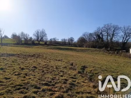 terrain à arpajon-sur-cère (15130)
