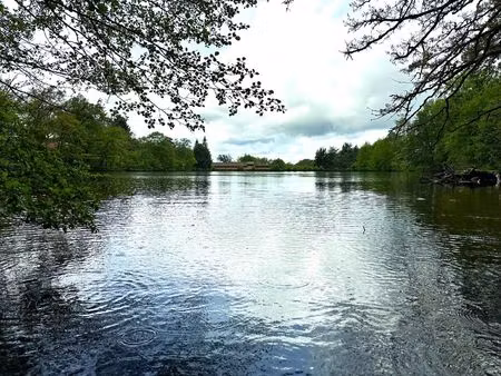 moulin rénové avec étang  piscine et 8 hectares de terrains.