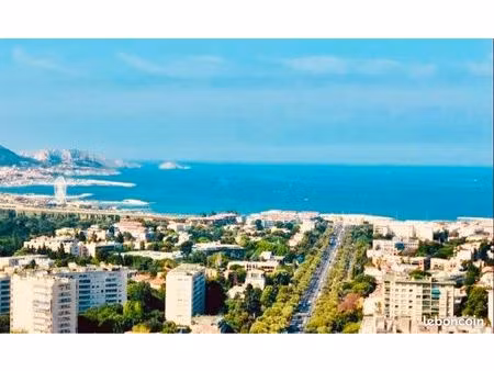 type 1/2 vue imprenable prado