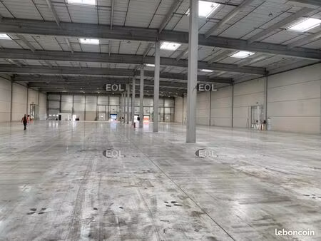 local logistique 5 446 m²