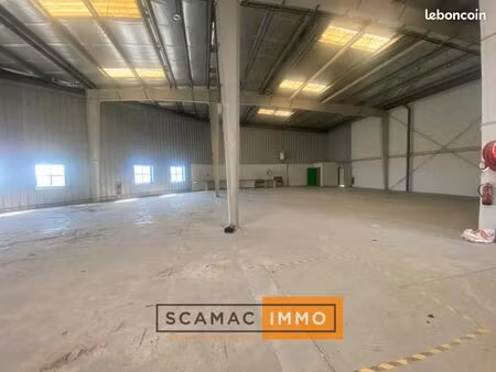 local d'activité 890 m²