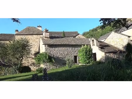 ensemble immobilier exceptionnel + terrain 100 ha aveyron