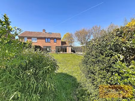 volledig gerenoveerde  lichtrijke woning met uitzicht op het preshoekbos