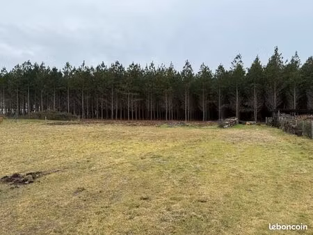 terrain 1 982 m² le temple