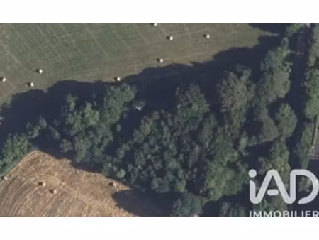 terrain à magnac-bourg (87380)