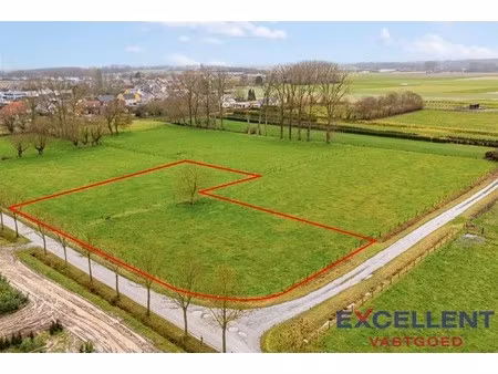 weidegrond te hundelgem