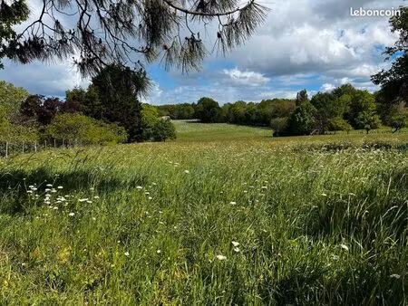 terrain 1 378 m² montendre