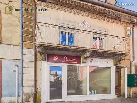 appartement 6 pièces 150 m²