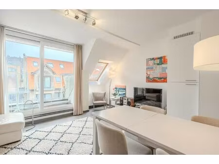 instapklaar appartement vlak achter de vernieuwde zeedijk!