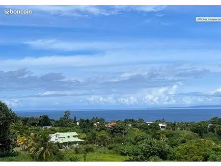 terrain 3 219 m² capesterre belle eau