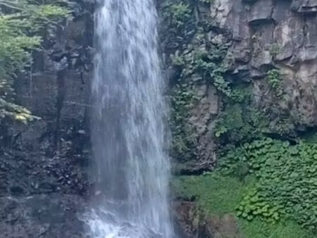 recherche logement 3 chambres en urgence