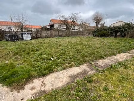 terrain constructible