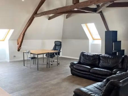 grand studio au centre-ville