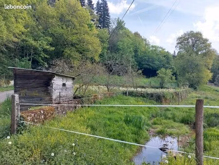 jardin clos avec cabanon