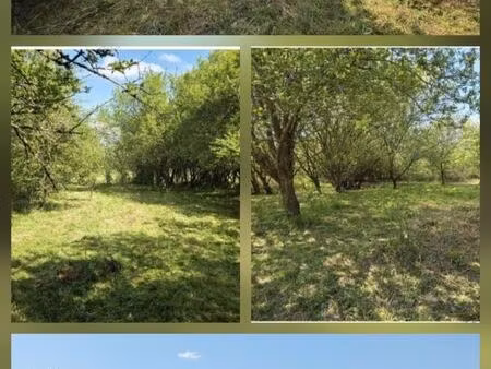 terrains loisirs obernai et zellwiller