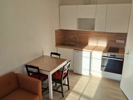 appartement meuble refait a neuf-2 pieces-33m2