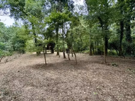 terrain loisirs à savigny-en-véron (37420)