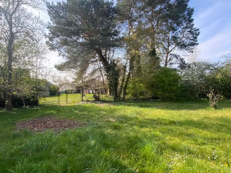 vente terrain  3000.00m²  donnery