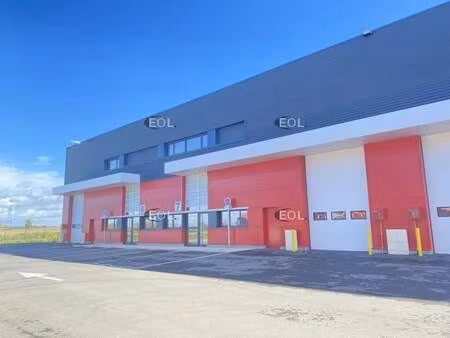 location entrepôt 563 m²