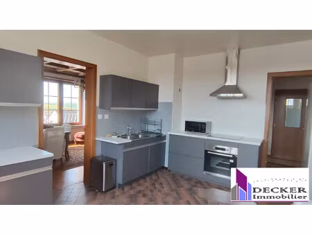 location appartement 3 pièces 100m² ingwiller 67340