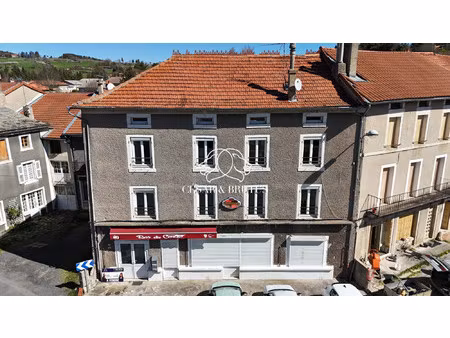 immeuble de rapport avec licence iv