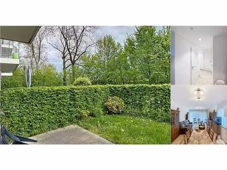 rez-de-chaussée à louer à square philippe gilbert 17 sougné-remouchamps (vwd17291)