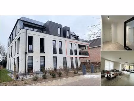 appartement à louer à korenbloemstraat 6 geel (rbv73617)