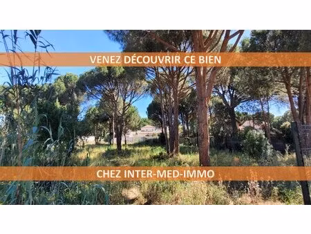 terrain constructible