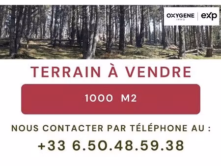 terrain formiguères