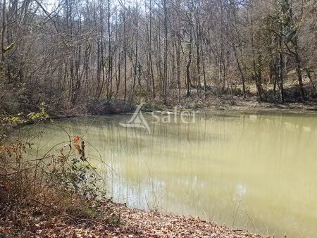 terrain agricole et forestier 8 85 ha landes (castaignos