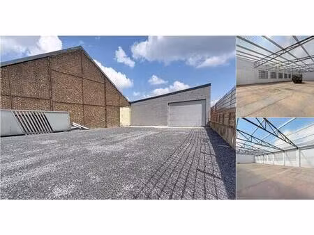 surface industrielle à louer à chaussée d'anton 11 andenne (vbe12159)