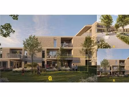 rez-de-chaussée à vendre à boomgaardstraat 25 a hoeselt (rbv74201)