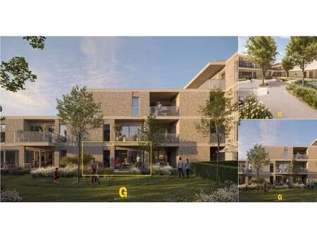 rez-de-chaussée à vendre à boomgaardstraat 25 a hoeselt (rbv74203)