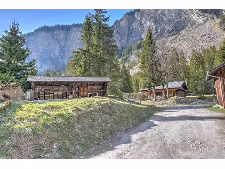 annonce terrain à vendre