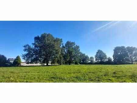 terrain constructible viabilisé à vendre