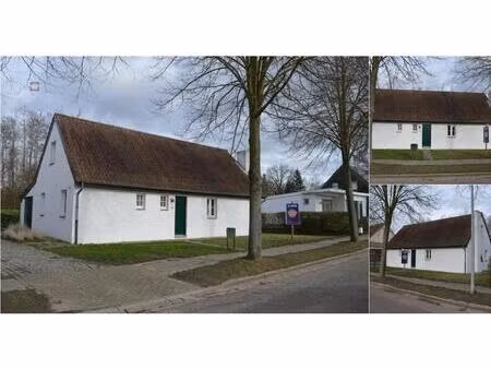 maison à louer à fonteinstraat 3 blaasveld (rbv74222)