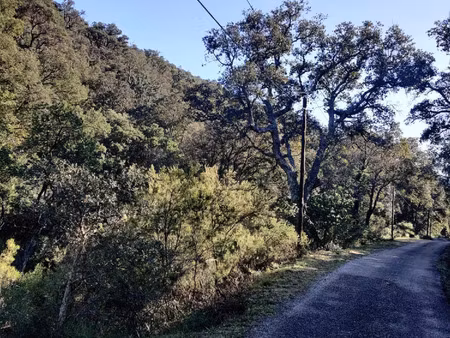 vente terrain collobrières 83610 - 34000 € - surface privée