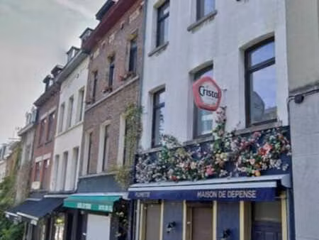 immeuble de rapport 1 commerce et 3 studios