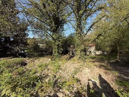 maisière - terrain de 30 ares