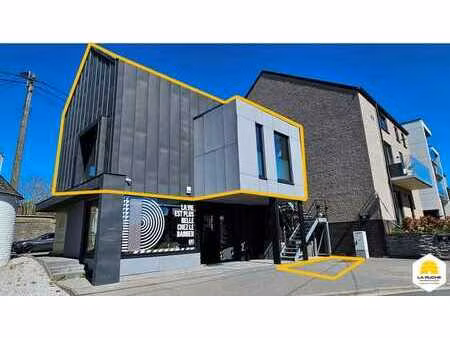 splendide appartement duplex de haut standing