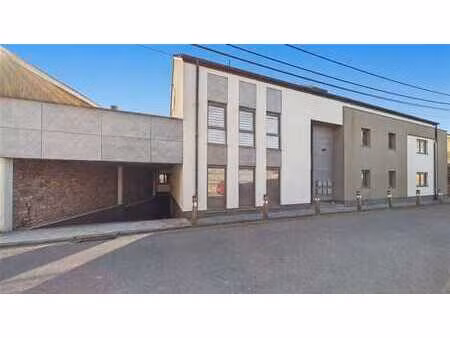 spacieux appartement avec jardin et garage