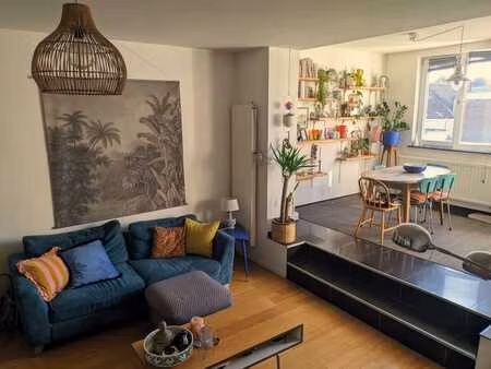 appartement lumineux avec terrasse et plein de charme !